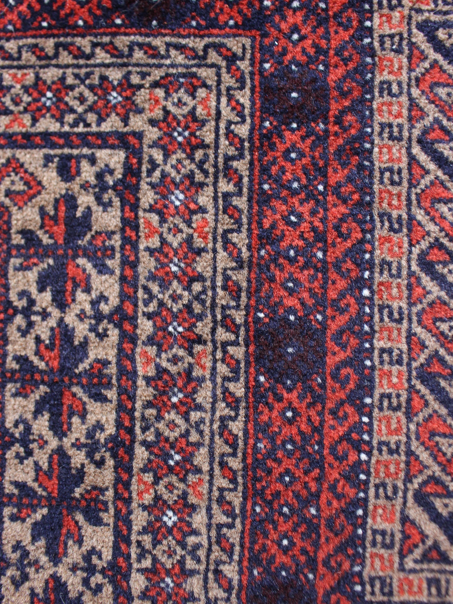 プレイヤーラグ バルーチ