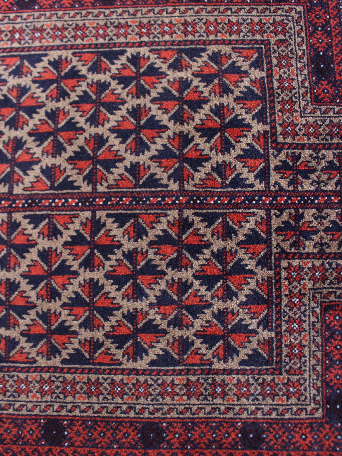 プレイヤーラグ バルーチ