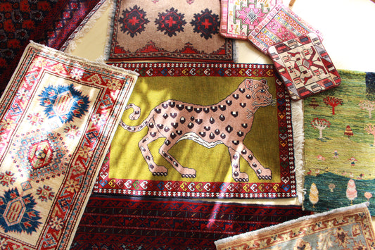 ヤラメ チーター N2164