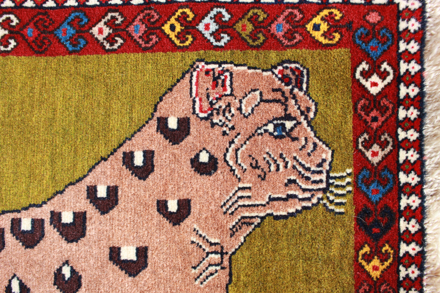 ヤラメ チーター N2164