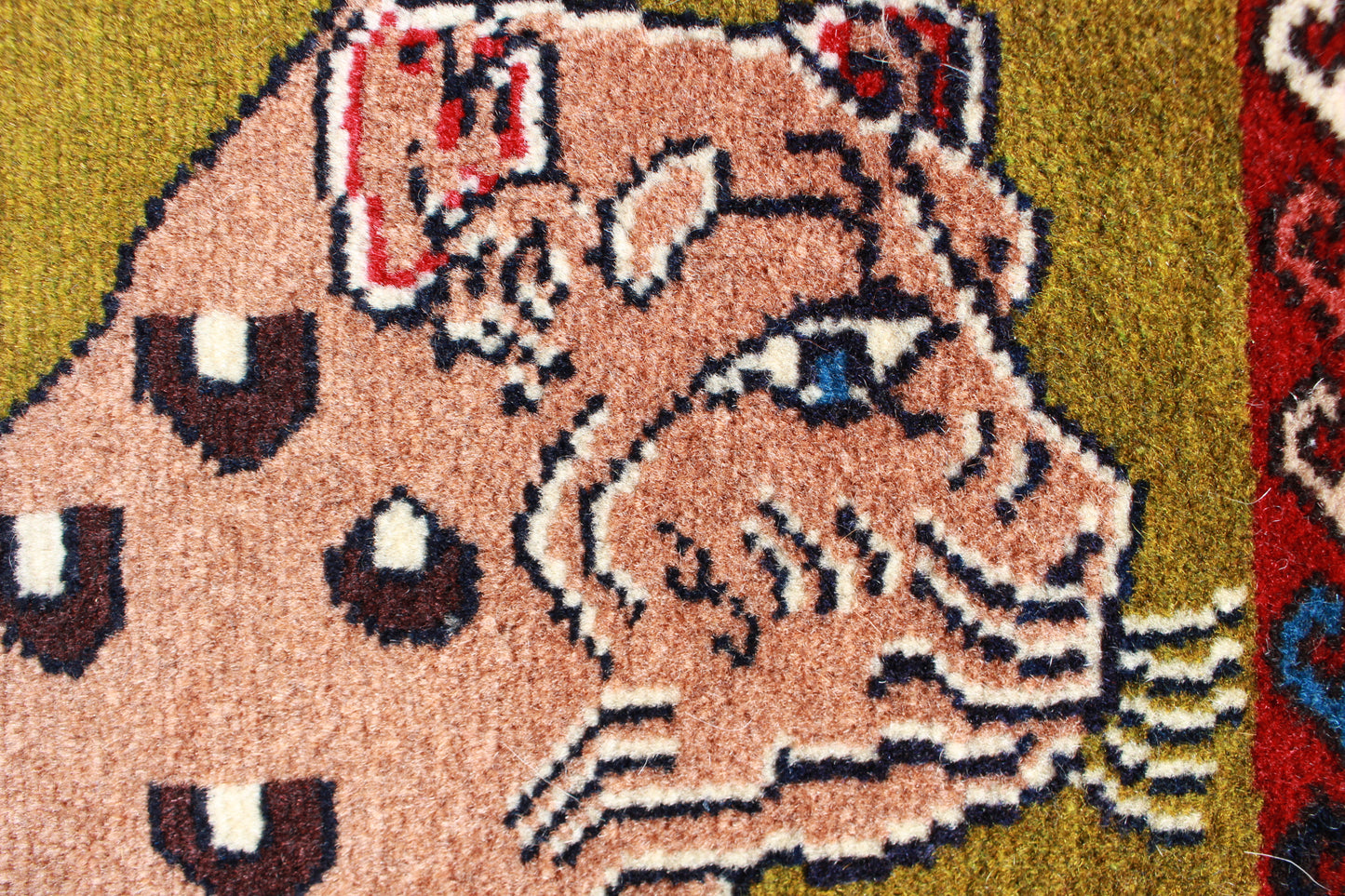 ヤラメ チーター N2164