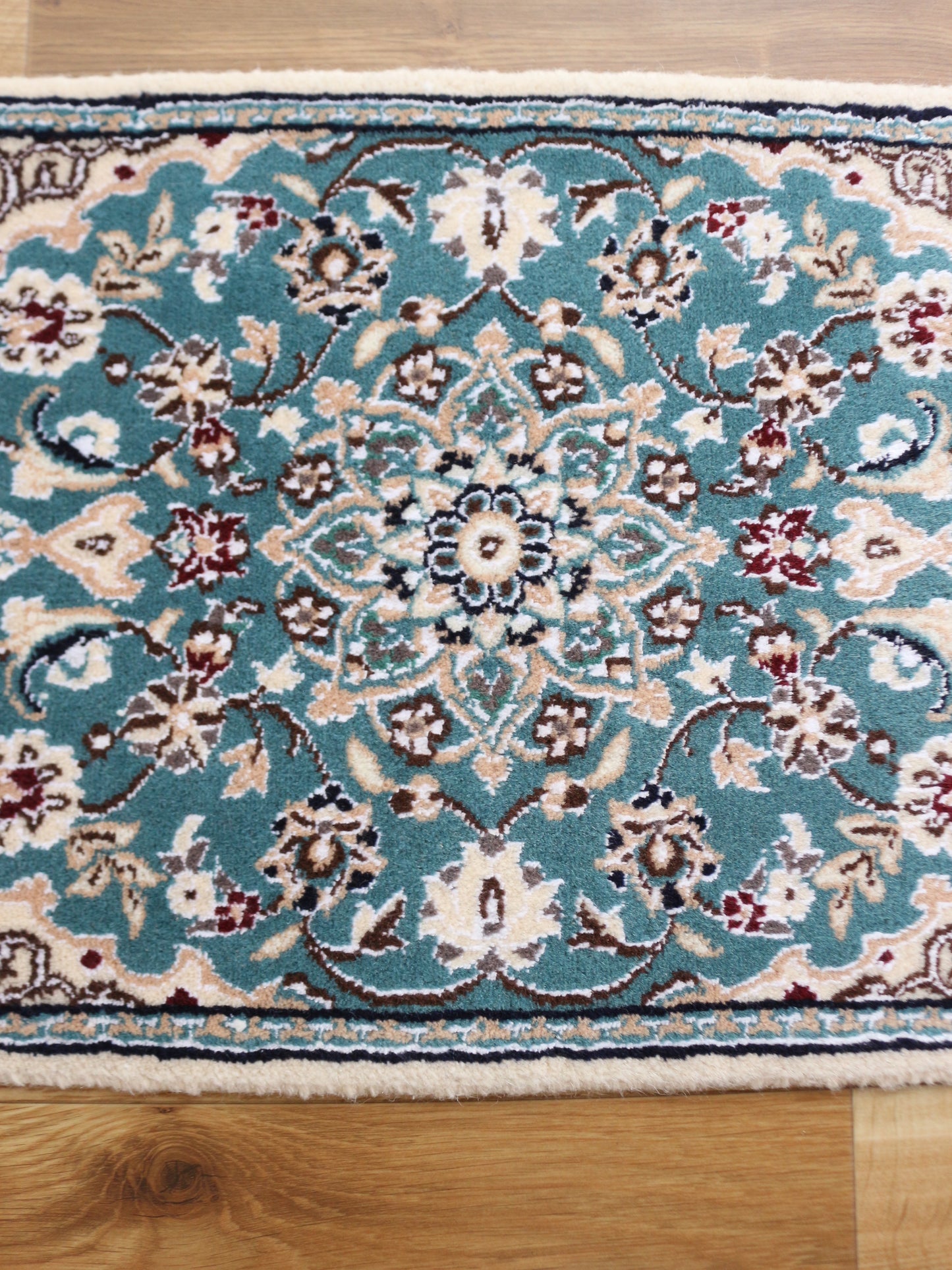 ナイン 9La 60㎝×40㎝ No.22