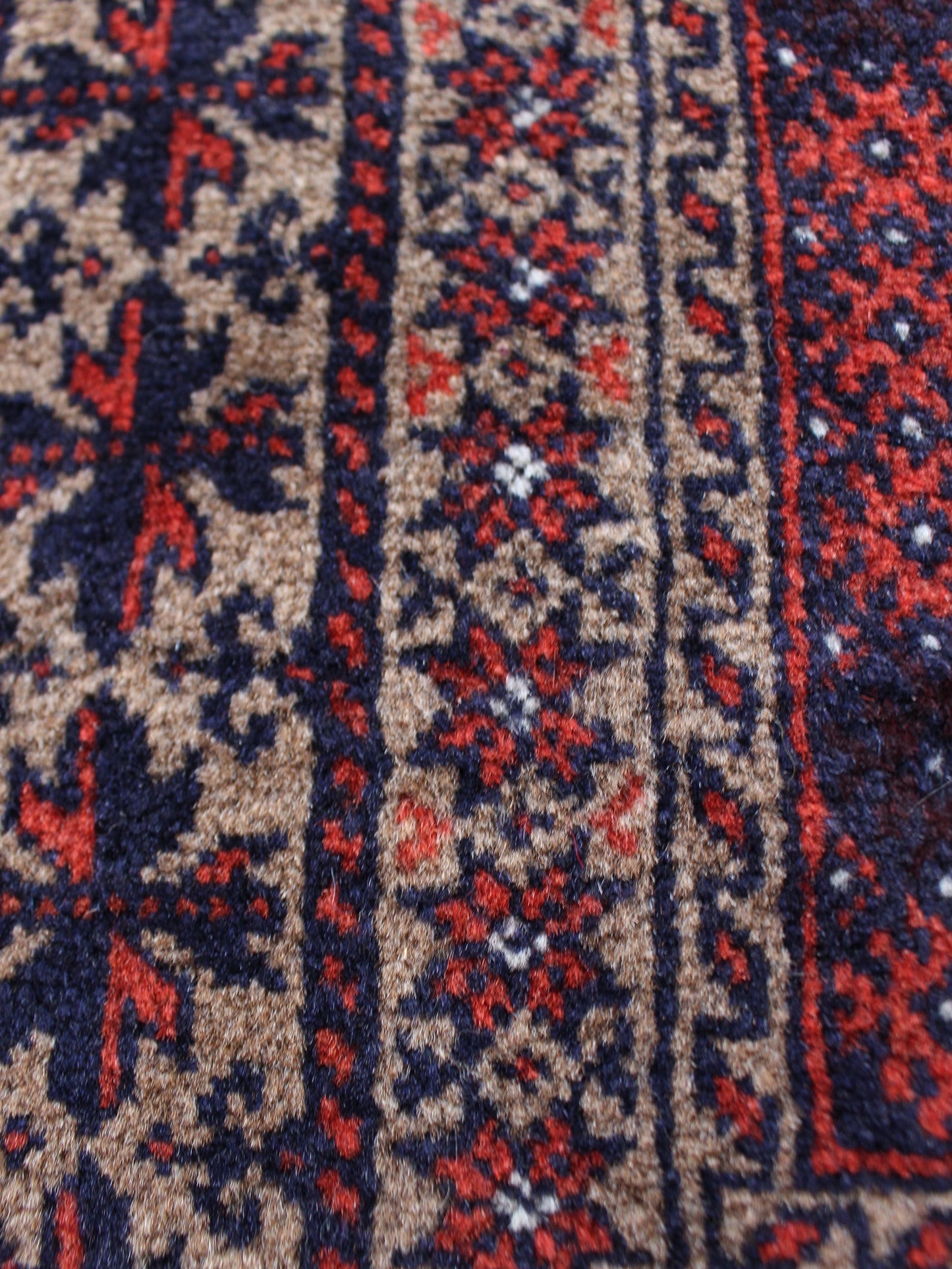 プレイヤーラグ　バルーチ