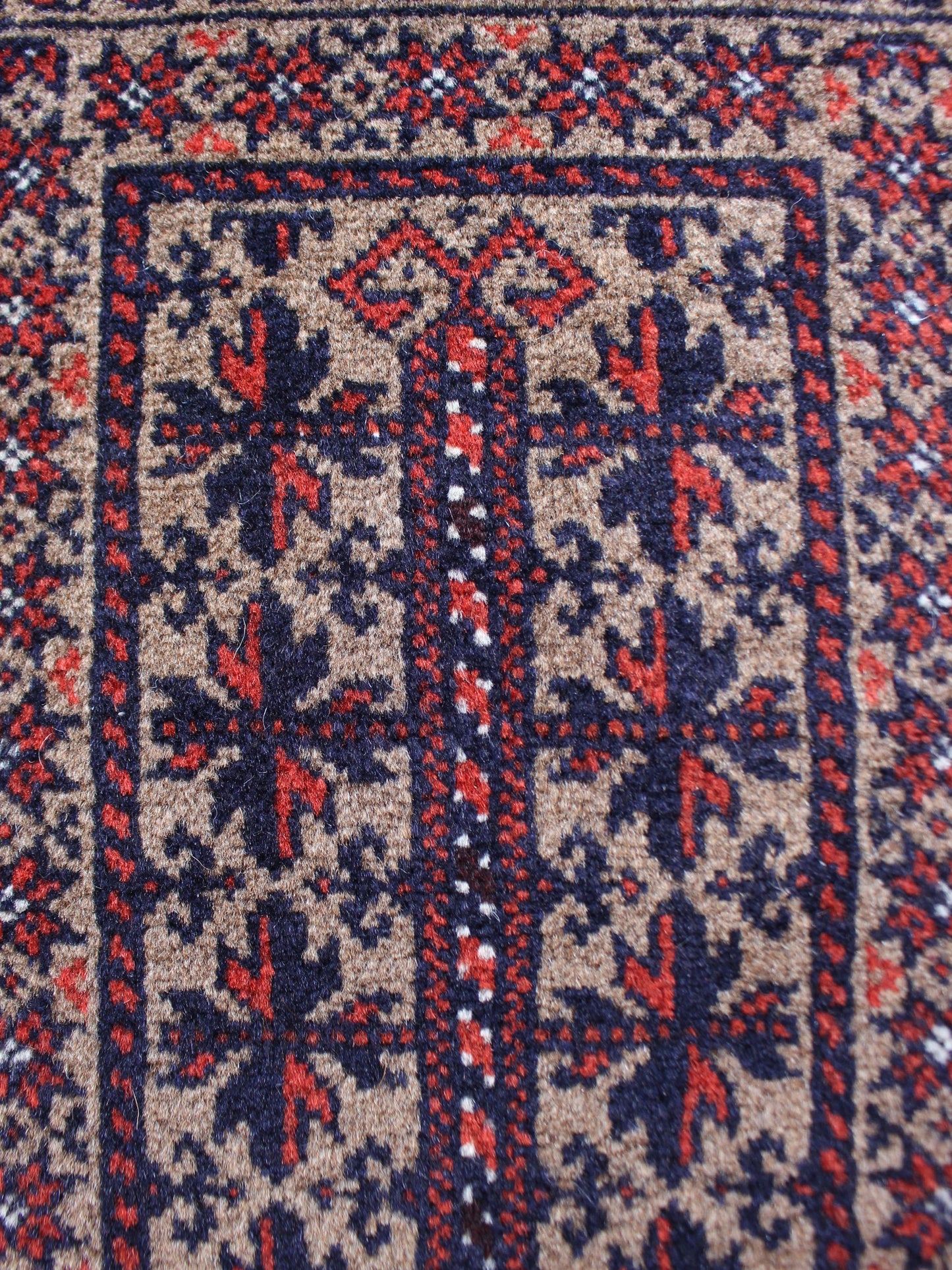 プレイヤーラグ　バルーチ